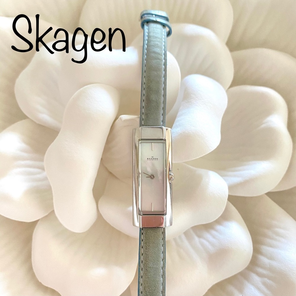 Skagen Watch